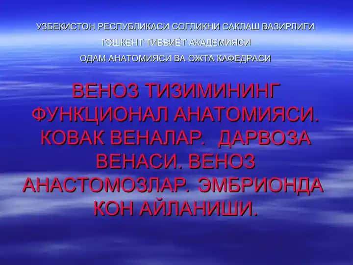 Venoz Tizimining Funktsional Anatomiysi