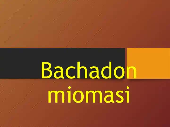 Bachadon miomasi