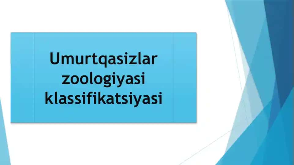 Umurtqasizlar Zoologiyasi klassifikatsiyasi