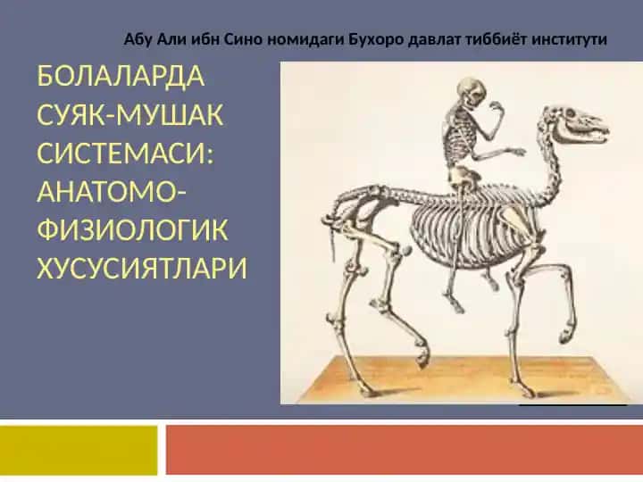 Болаларда Суяк-Мушак Системаси: Анатомо-Физиологик Хусусиятлари