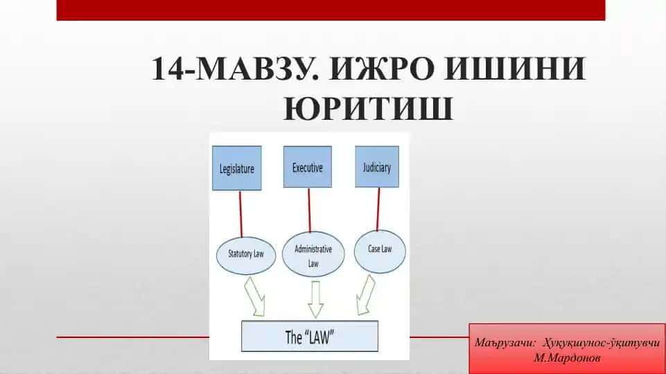 Ижро ишини юритиш