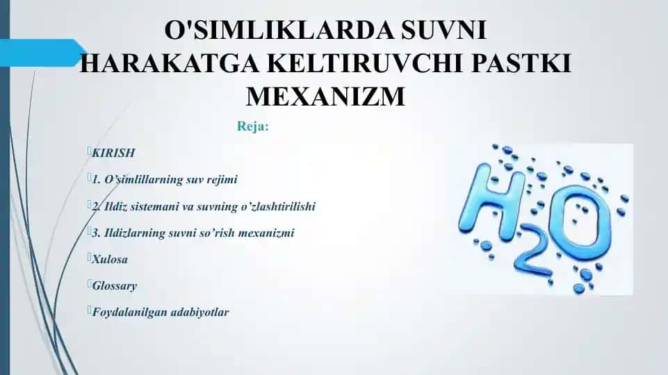 O'simliklarda suvni harakatga keltiruvchi pastki mexanizm