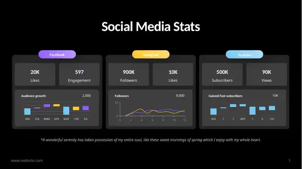 Social Media Stats