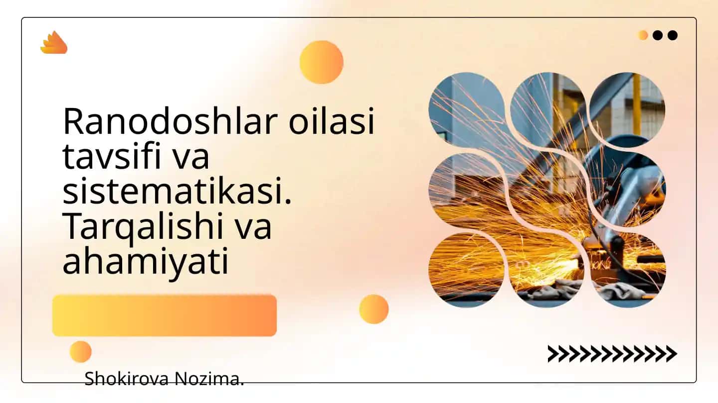 Ranodoshlar oilasi tavsifi va sistematikasi