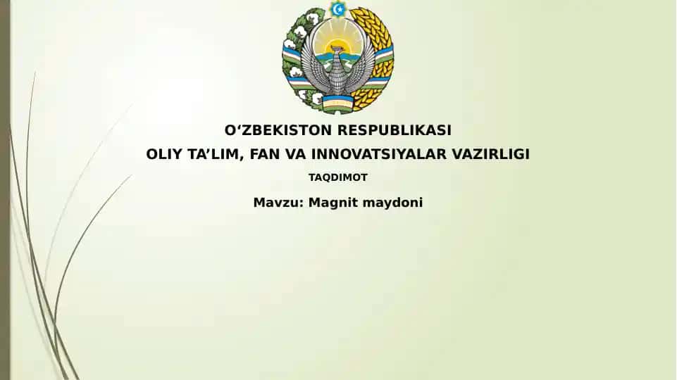 Magnitmaydoni