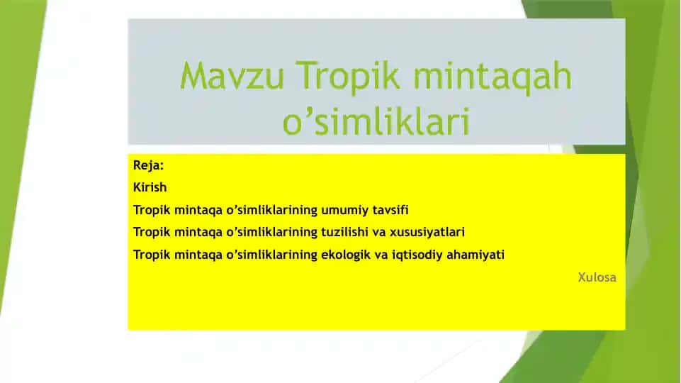 Tropikmintaqaho’simliklari