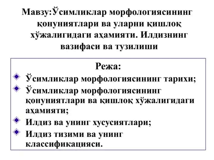 Ўсимликлар морфологияси