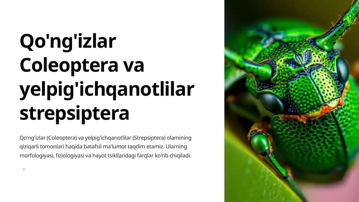 Qo'ng'izlar va yelpig'ichqanotlilar