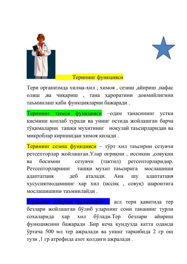 Терининг функцияси