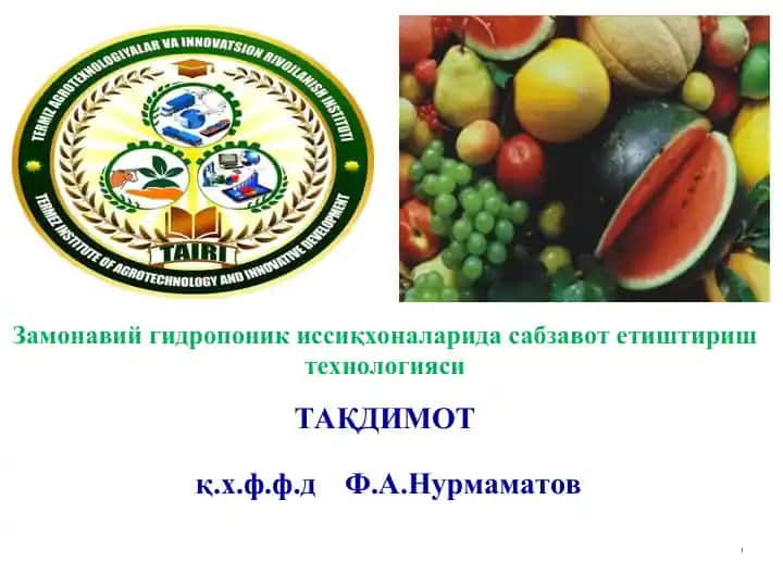 Замонавий гидропоник иссиқхоналарида сабзавот етиштириш технологияси