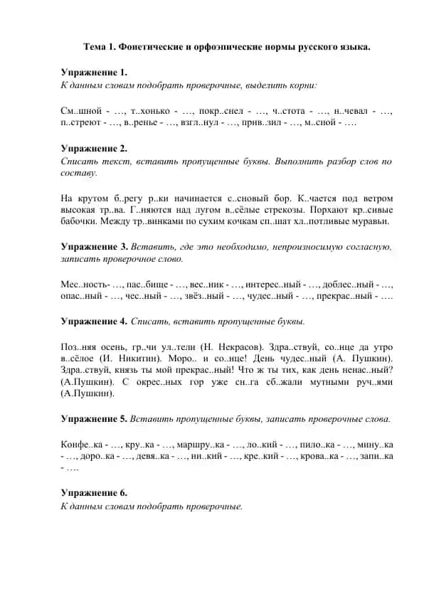 Rus tili fonetika va orfografiya
