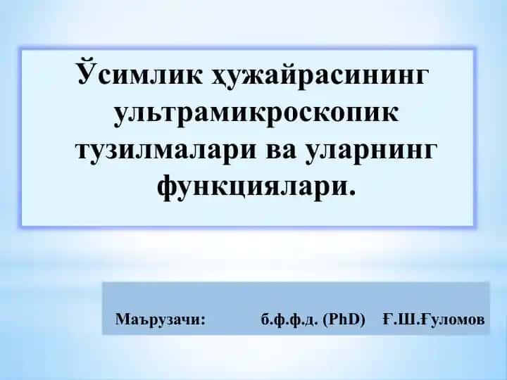 Ўсимликҳужайрасининг ультрамикроскопик тузилмалари ва уларнинг функциялари
