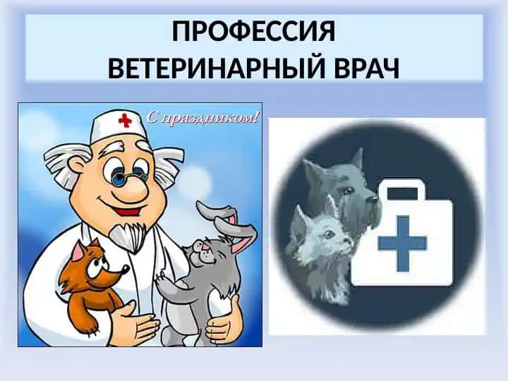 Ветеринарный врач