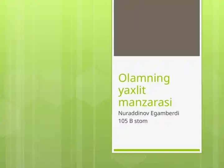 olamning yaxlit manzarasi pptx
