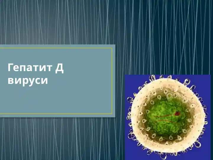 Гепатит Д вируси