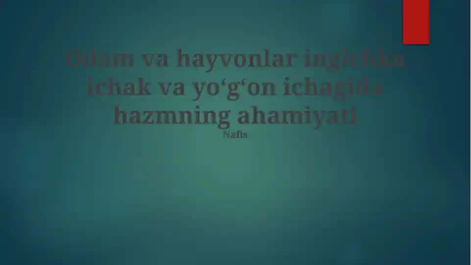 Odam va hayvonlar ingichka ichak va yoʻgʻon ichagida hazmning ahamiyati