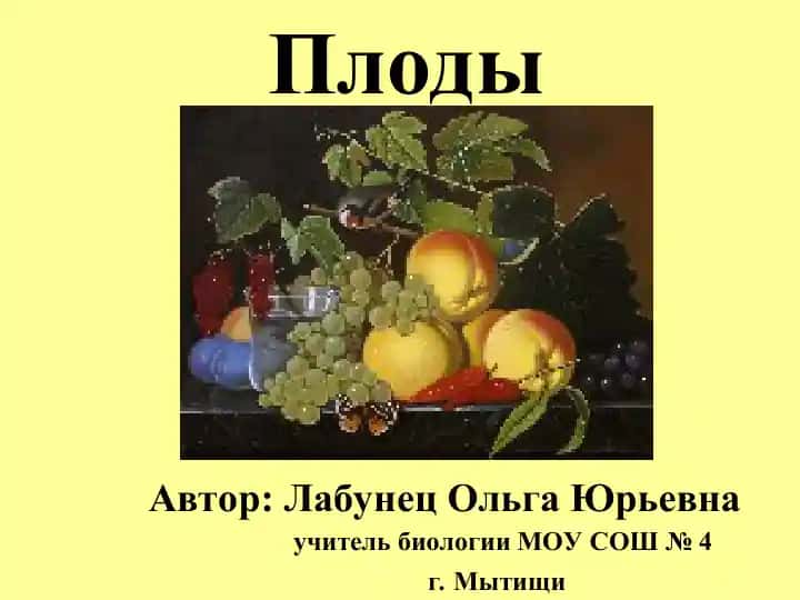 Плоды