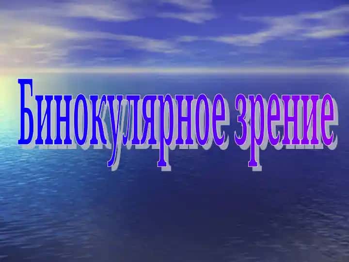 Бинокулярное зрение