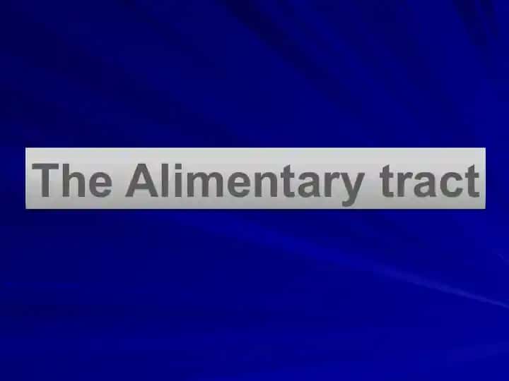 The Alimentary Tract