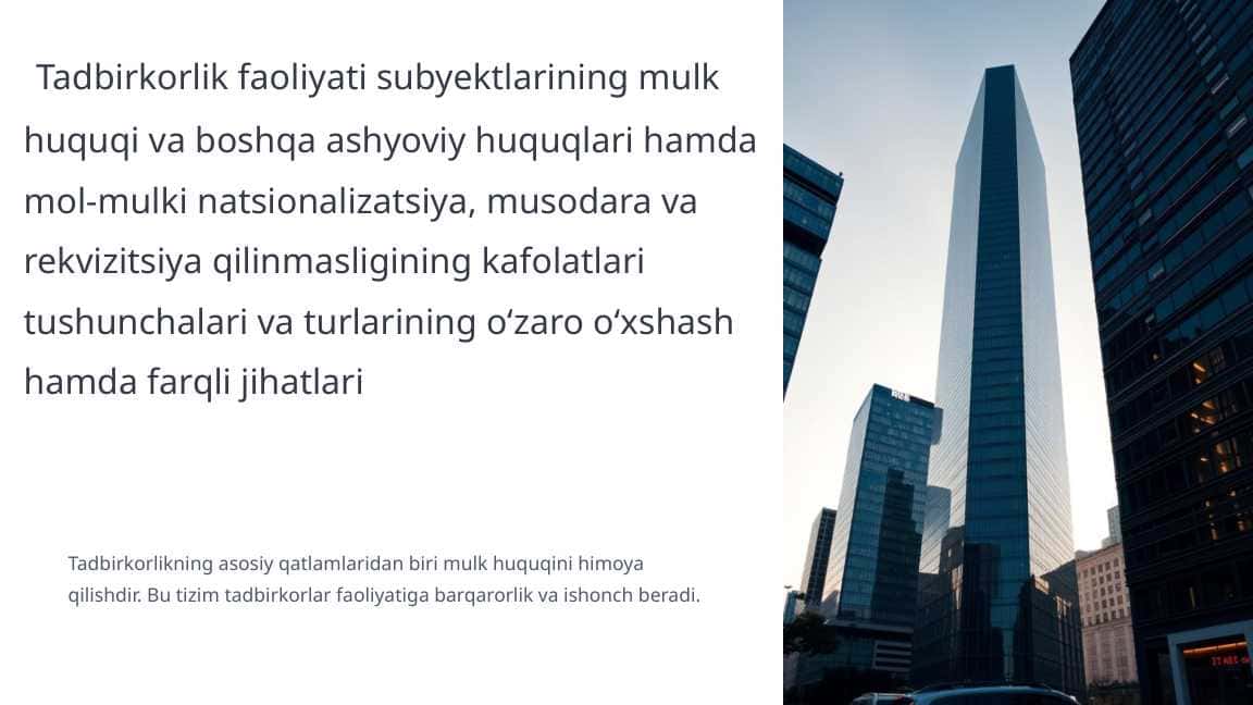Tadbirkorlik faoliyati va mulk huquqi