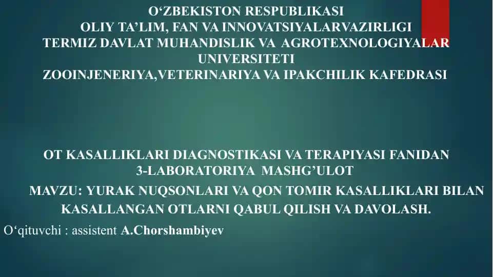 Endokardit (Endocarditis)