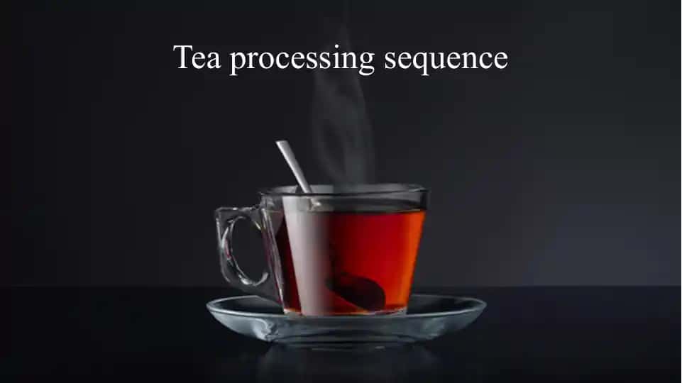 Tea processing sequence