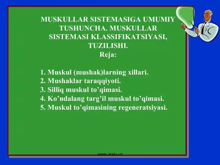 Muskullar sistemasiga umumiy tushuncha