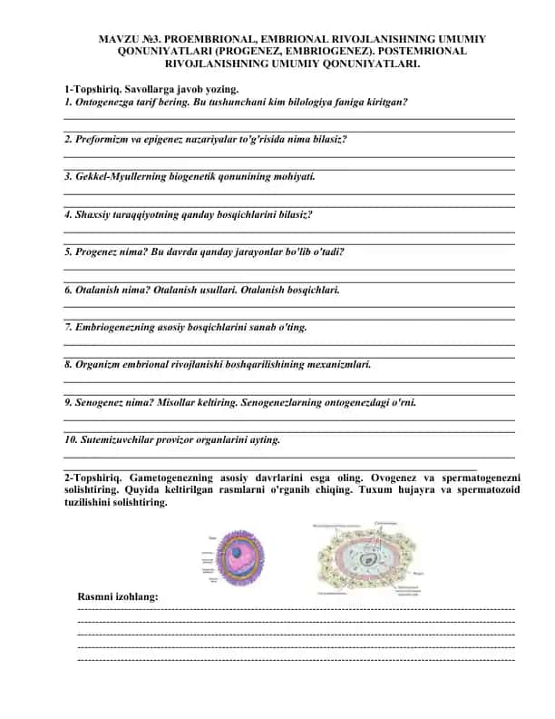 Ontogenezga doir topshiriqlar