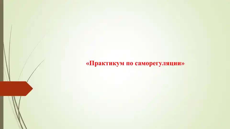 «Практикум по саморегуляции»