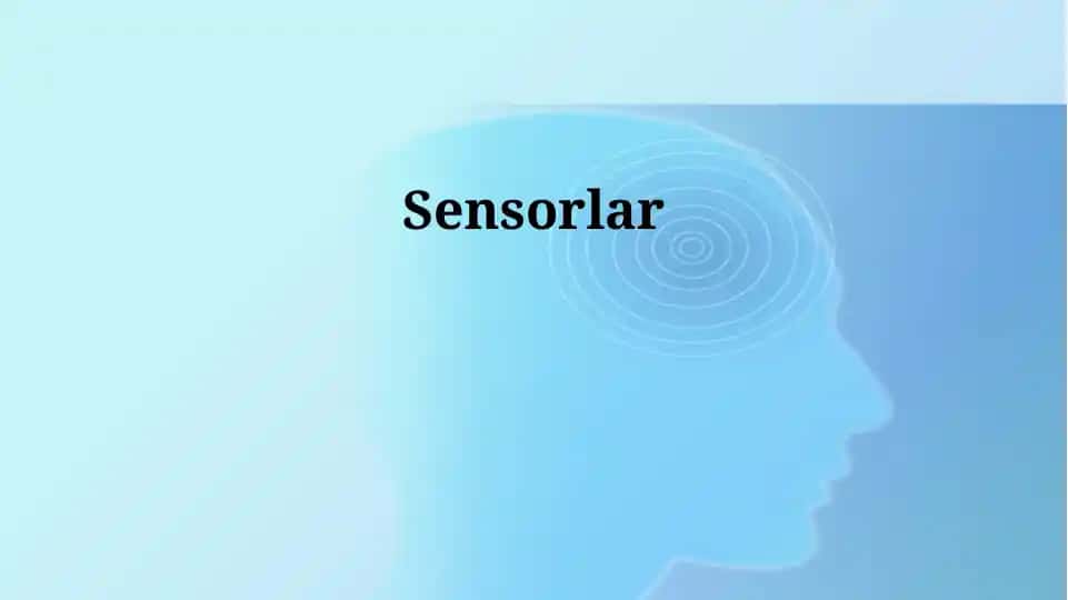 Sensorlar