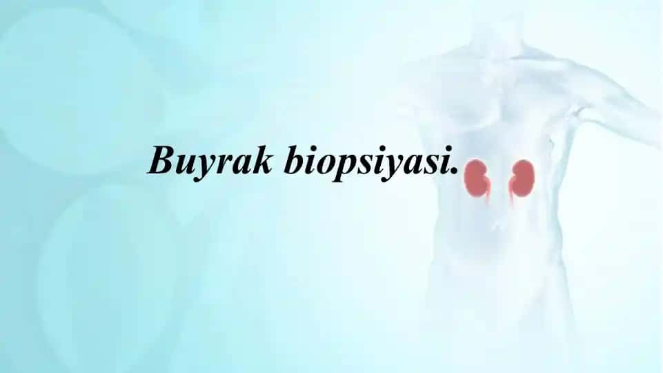 Buyrak biopsiyasi