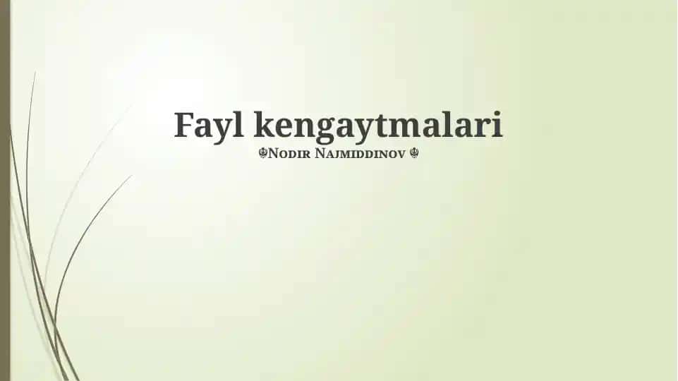 Fayl kengaytmalari