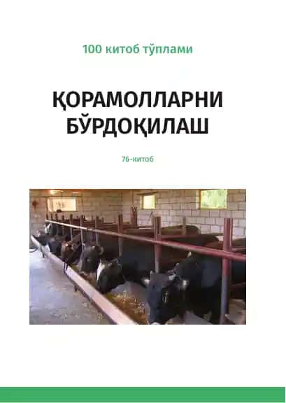 Қорамолларни бўрдоқилаш