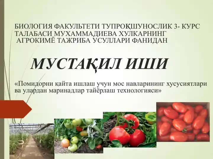 Pomidorni qayta ishlash uchun mos navlarining xususiyatlari va ularidan marinadlar tayyorlash texnologiyasi