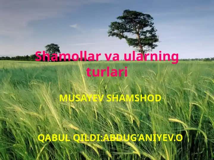 Shamollar va ularning turlari