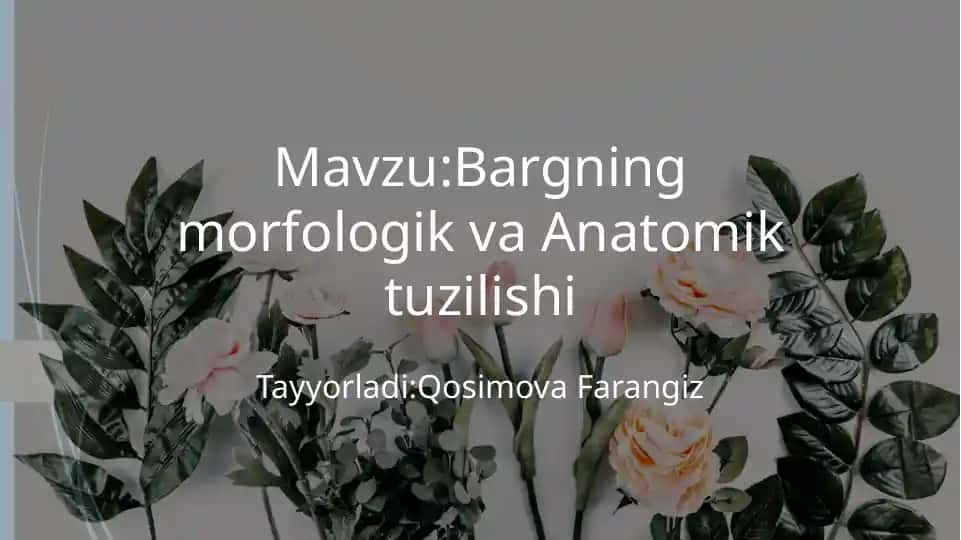 Bargning morfologik va anatomik tuzilishi