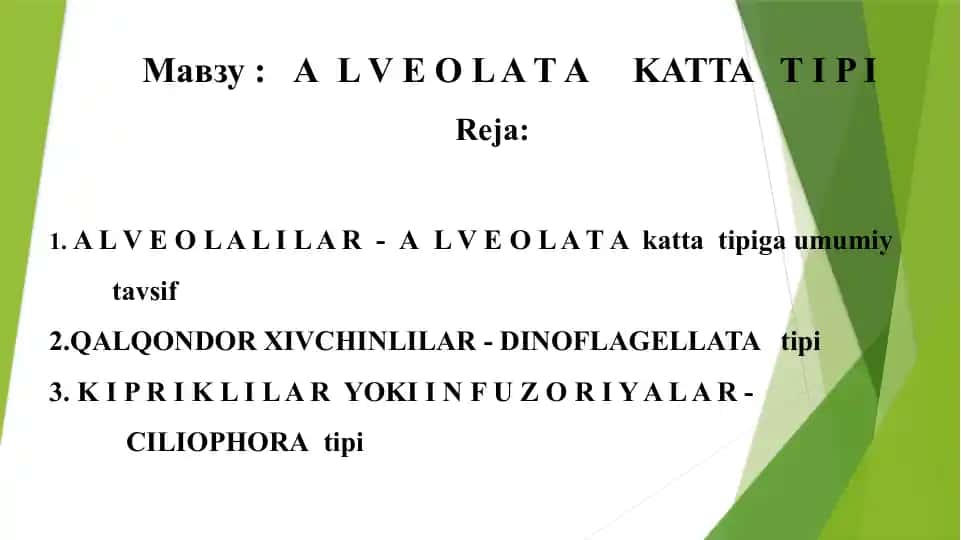 ALVEOLAT AKATTATIPI