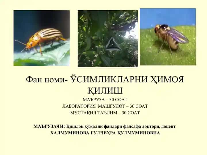 Умумий ва қишлоқ хўжалик энтомологияси