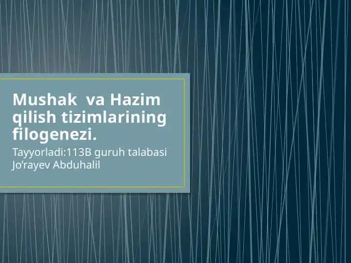 Mushak va Hazim qilish tizimlarining filogenezi