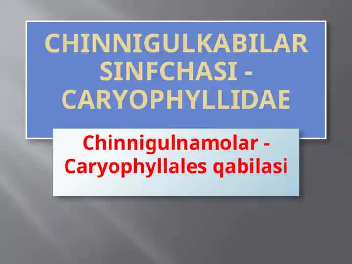 Chinnigulkabilar