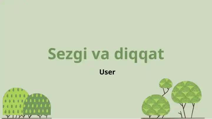 Sezgi va Diqqat