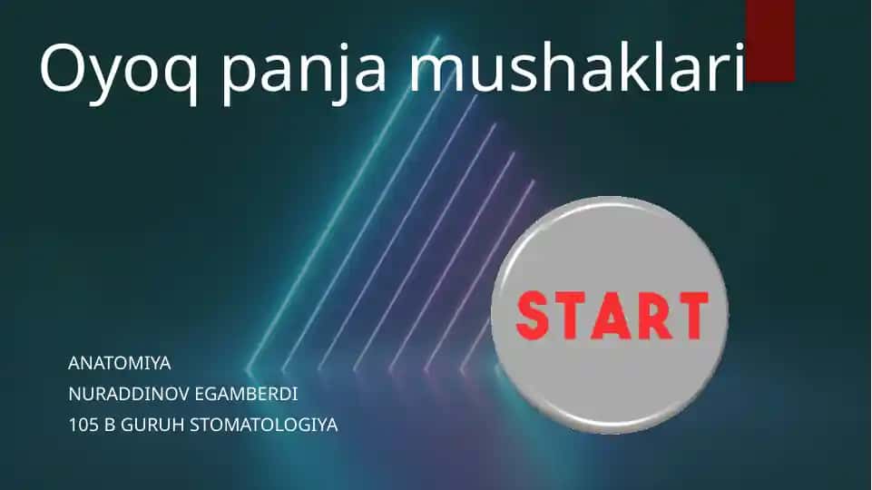 anatomiyadan oyoq panja mushaklari mavzusiga pptx