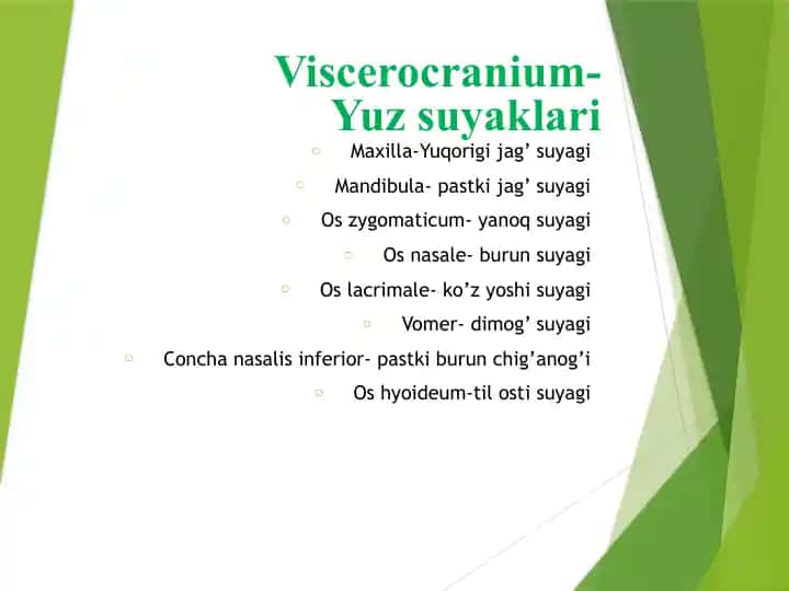 Viscerocranium - Yuz suyaklari Yuqori jag suyagi Pastki jag suyagi Yanoq suyagi burun suyagi ko'z yoshi suyagi dimog' suyagi pastki burun chiganogi til osti suyagi