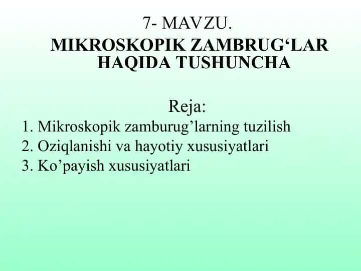 Mikroskopik zamburug’lar