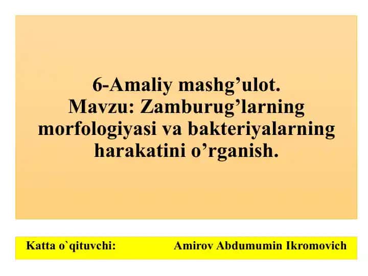 Zamburug’larning morfologiyasi va bakteriyalarning harakati
