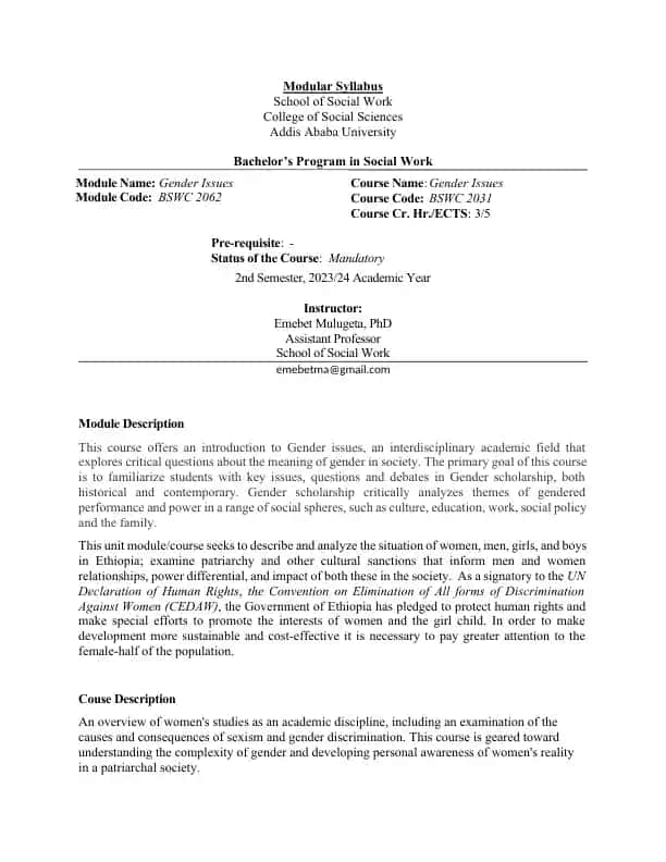 Gender Issues and Feminist Social Work Course