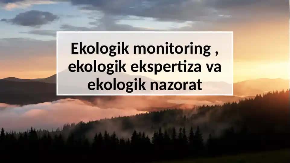 Ekologik monitoring, ekologik ekspertiza va ekologik nazorat