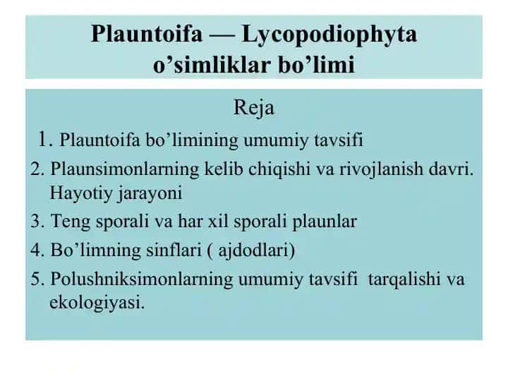 Plauntoifa — Lycopodiophytabo’limi