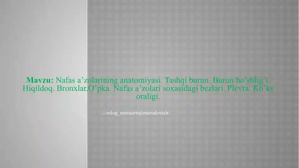 Nafas a’zolarining anatomiyasi