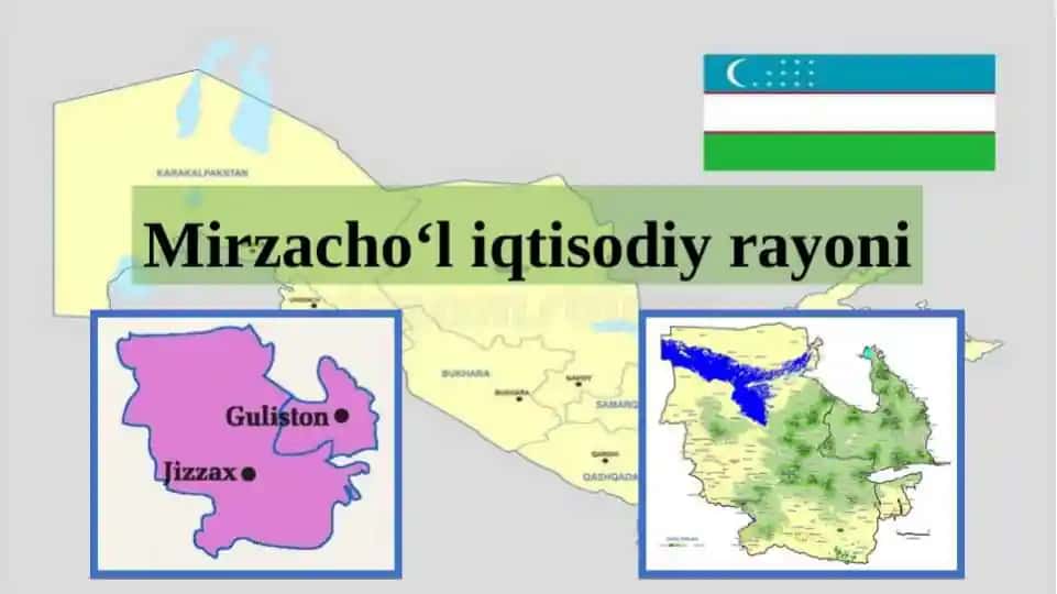 Mirzacho’l iqtisodiy rayoni